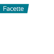 Spiegel Facette