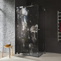 Duschkabine Glas Eckeinstieg QUALLEN 209