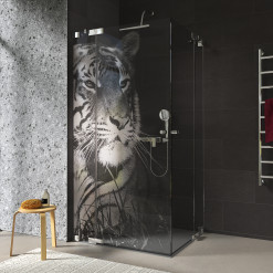 Duschkabine Glas Eckeinstieg TIGER 209