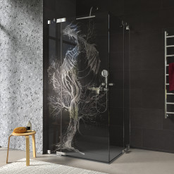 Duschkabine Glas Eckeinstieg mit Motiv DRACHE 209