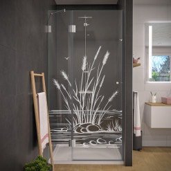 Duschtür aus Glas Laser-Design SCHILF 1/104