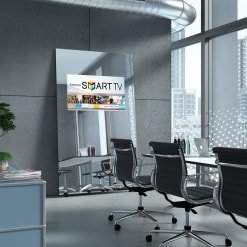 Standspiegel mit Fernseher ECO