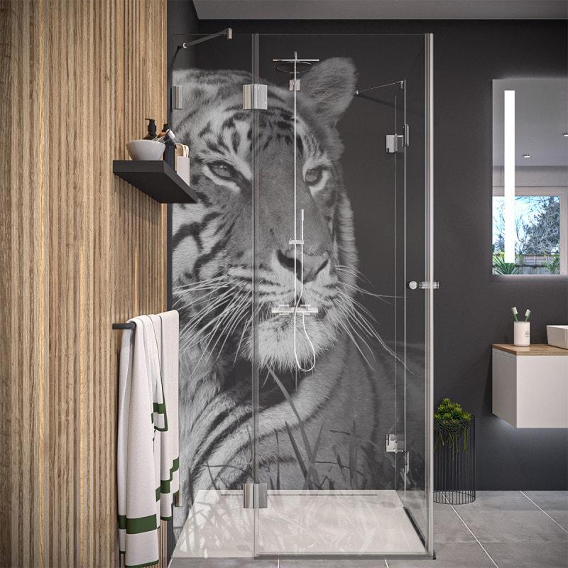 Duschkabine Glas Eckeinstieg TIGER 209