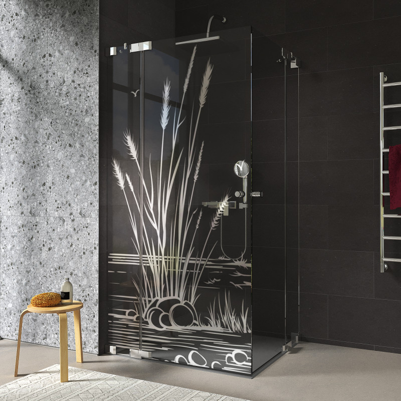 Duschkabine Glas Eckeinstieg mit Motiv SCHILF 209