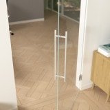 Doppel-Pendeltür aus Parsol Glas ESG 8mm Grau