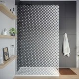 Glas Trennwand für Walk-in Dusche DOT 2T