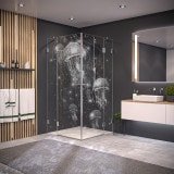 Duschkabine Glas Eckeinstieg QUALLEN 209