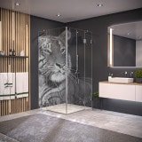 Duschkabine Glas Eckeinstieg TIGER 209 Duschkabine Glas Eckeinstieg TIGER 209