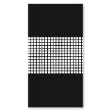 Duschkabine Tür seitlich Glas satiniert CARRE 2/210 Duschkabine Tür seitlich Glas satiniert CARRE 2/210