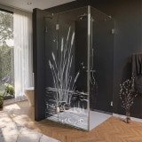 Glas Duschkabine Tür seitlich mit Motiv SCHILF 1/210