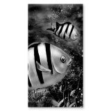 Duschkabinentür nach Maß mit Motiv FISCHE 2/101 Duschkabinentür nach Maß mit Motiv FISCHE 2/101
