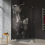 Duschkabine Glas Eckeinstieg QUALLEN 209