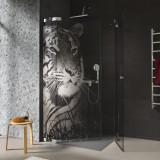 Duschkabine Glas Eckeinstieg TIGER 209