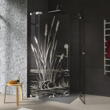 Duschkabine Glas Eckeinstieg mit Motiv SCHILF 209 Duschkabine Glas Eckeinstieg mit Motiv SCHILF 209