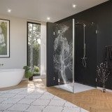 Glas Duschkabine Tür seitlich mit Motiv DRACHE 210