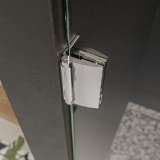 Design Glas Duschtür nach Maß CARRE 1/101