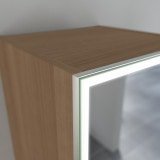 LED Hochschrank Maßanfertigung mit Spiegel BHS013L4 LED Hochschrank Maßanfertigung mit Spiegel BHS013L4