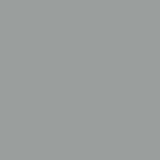 Lackiertes Glas - Metall-Grau / Silber - REF 9006, 4mm Lackiertes Glas - Metall-Grau / Silber - REF 9006, 4mm