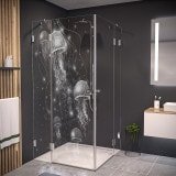 Duschkabine Glas Eckeinstieg QUALLEN 209