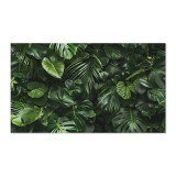 Küchenrückwand ESG Glas 6mm mit keramischen Farbdruck JUNGLE 2
